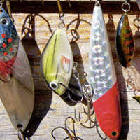 Tips to Know How to Choose Fishing Tackle 