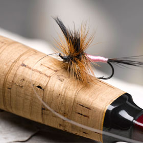 Best Fly Fishing Flies to Use