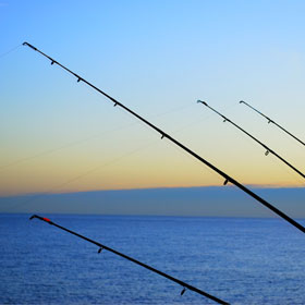 Types of fishing rods