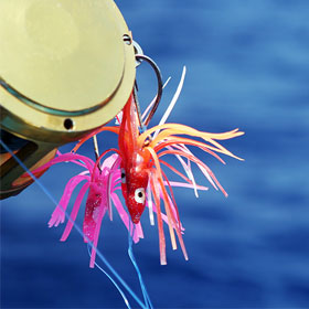 Pro Tips on Saltwater Deep Sea Fishing Lures