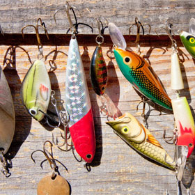 Resource for Top Freshwater Salmon Lures