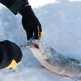 Tips on Ice Fishing for Trout
