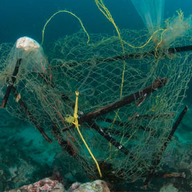 overfishing-problems
