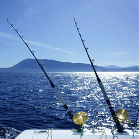 Helpful Saltwater Fishing Tips & Tricks 