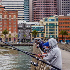 urban-fishing
